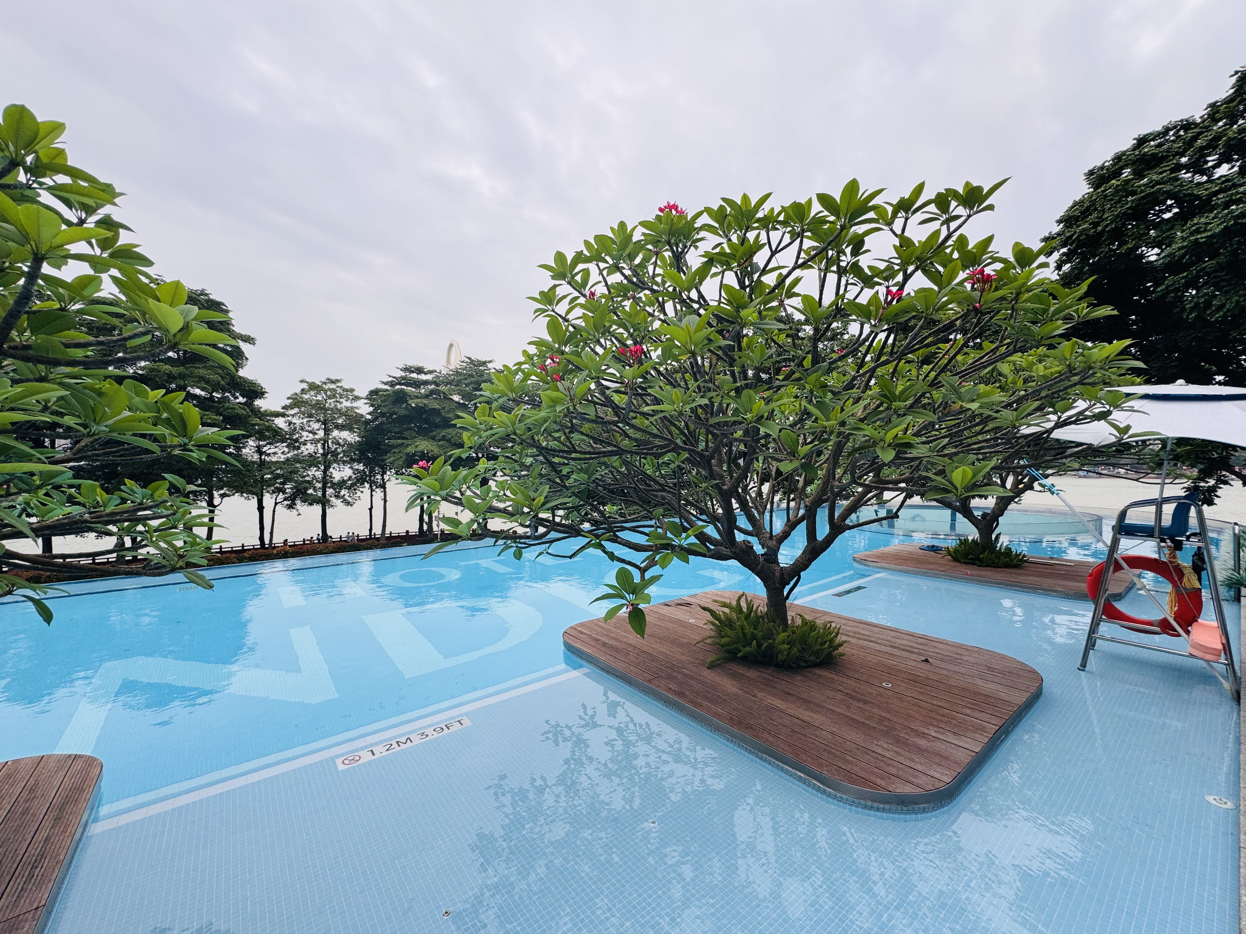 ɳ•ҹ|ݺɳӢϸƵ(Hotel Indigo Guangzhou Haixinsha)8¥