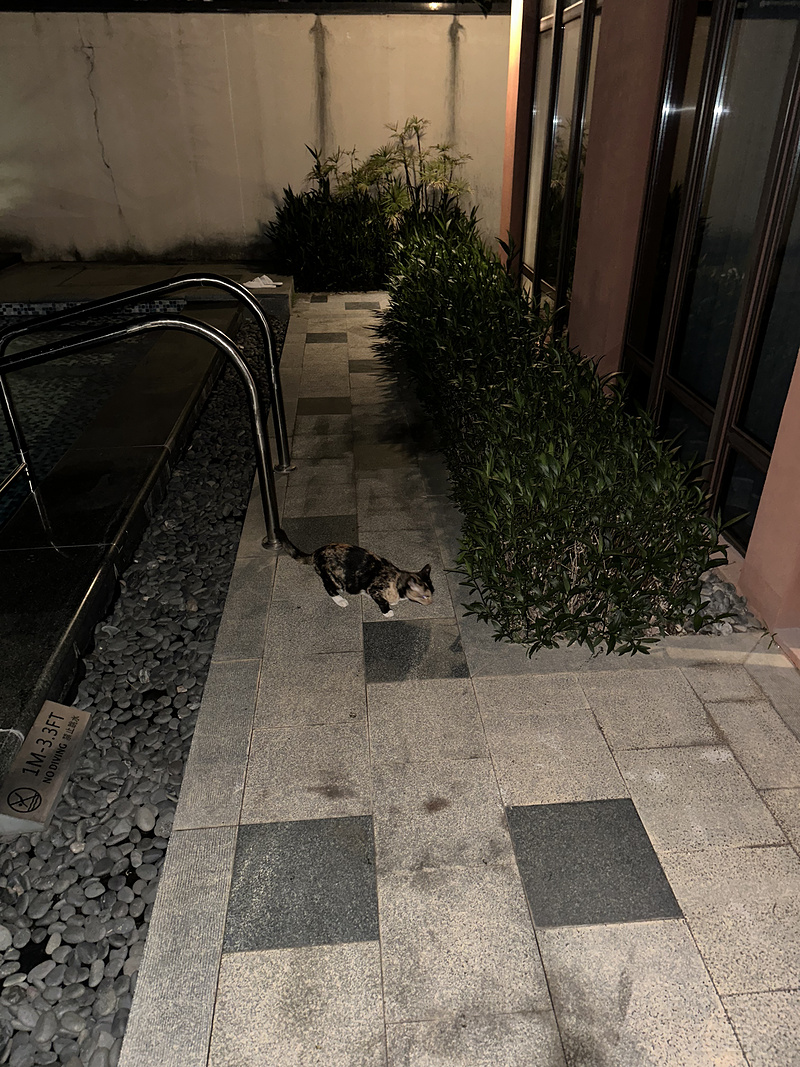 042458KKSKXLEYODZONRNW.png 042458KKSKXLEYODZONRNW.png