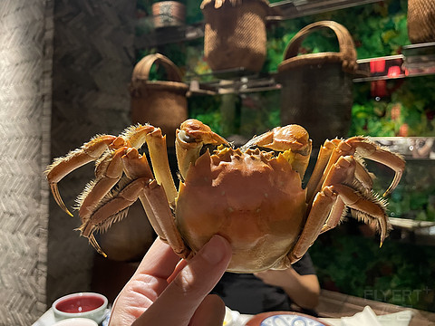 西湖畔，湖滨缘----杭州君悦酒店西湖套房，豪华湖景套及湖滨28分享