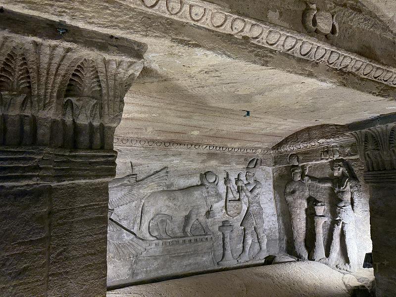 135458LZRIENZARFRKVDCZ.png