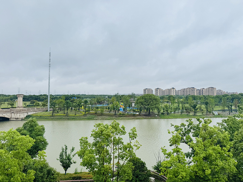 140144MTTLPNMBRXMZLZEV.png