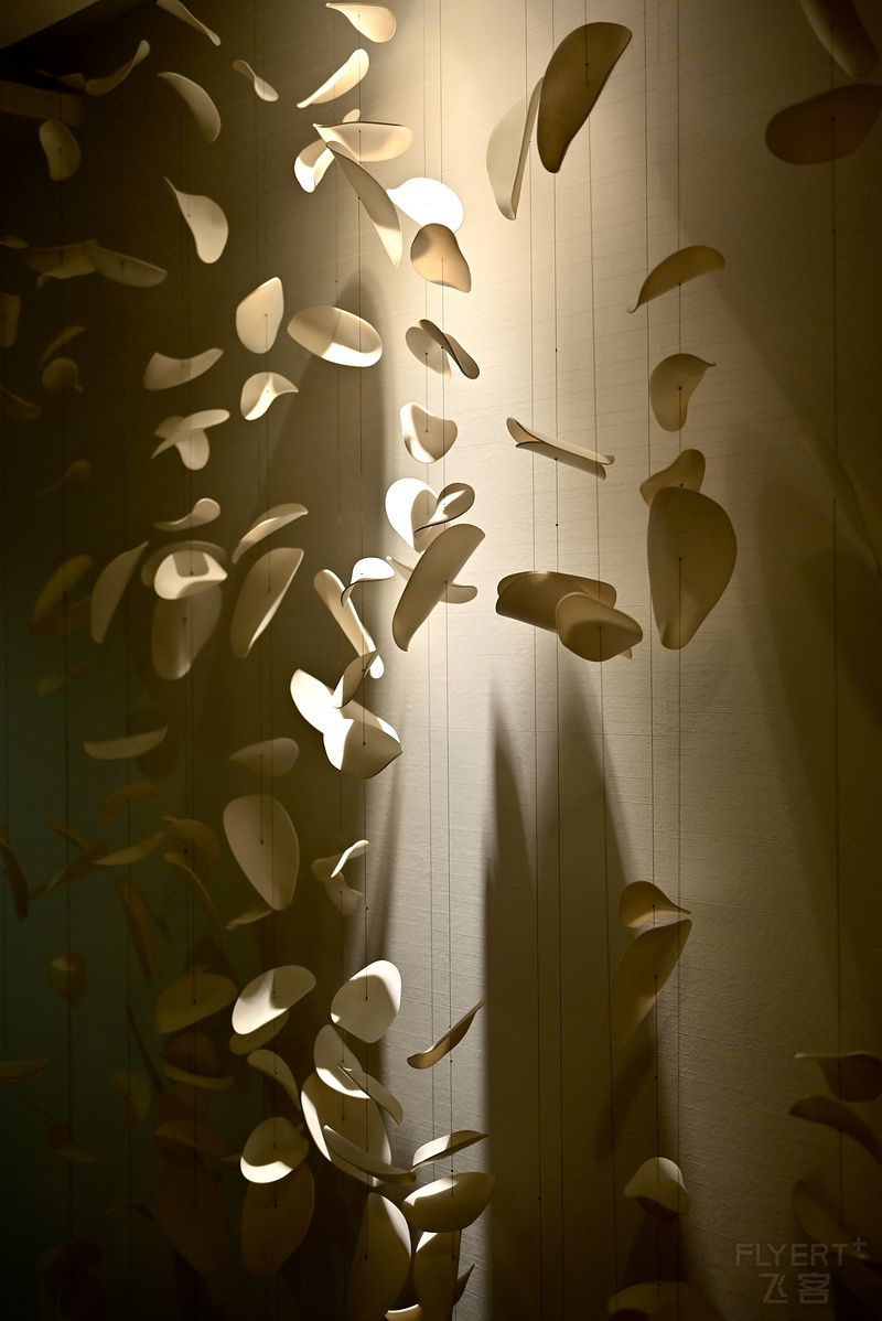 151351KCWPXOKMJLYUGGYV.png