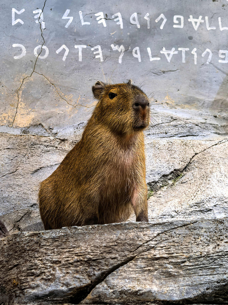 2204520WXWFL3hIkVI3lor.jpg