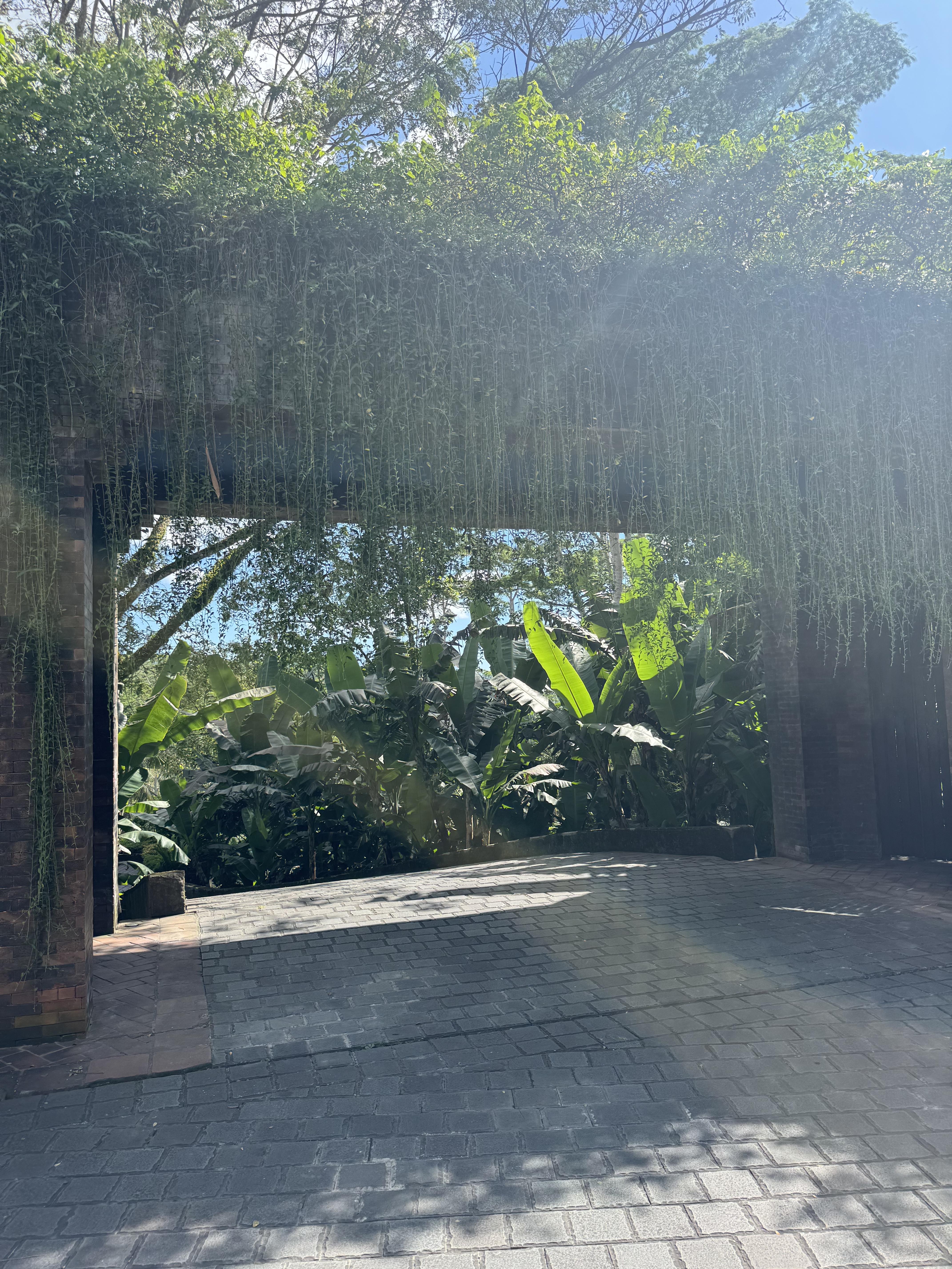 嵺mandapa˼ȼٸڲӾرȫͼ
