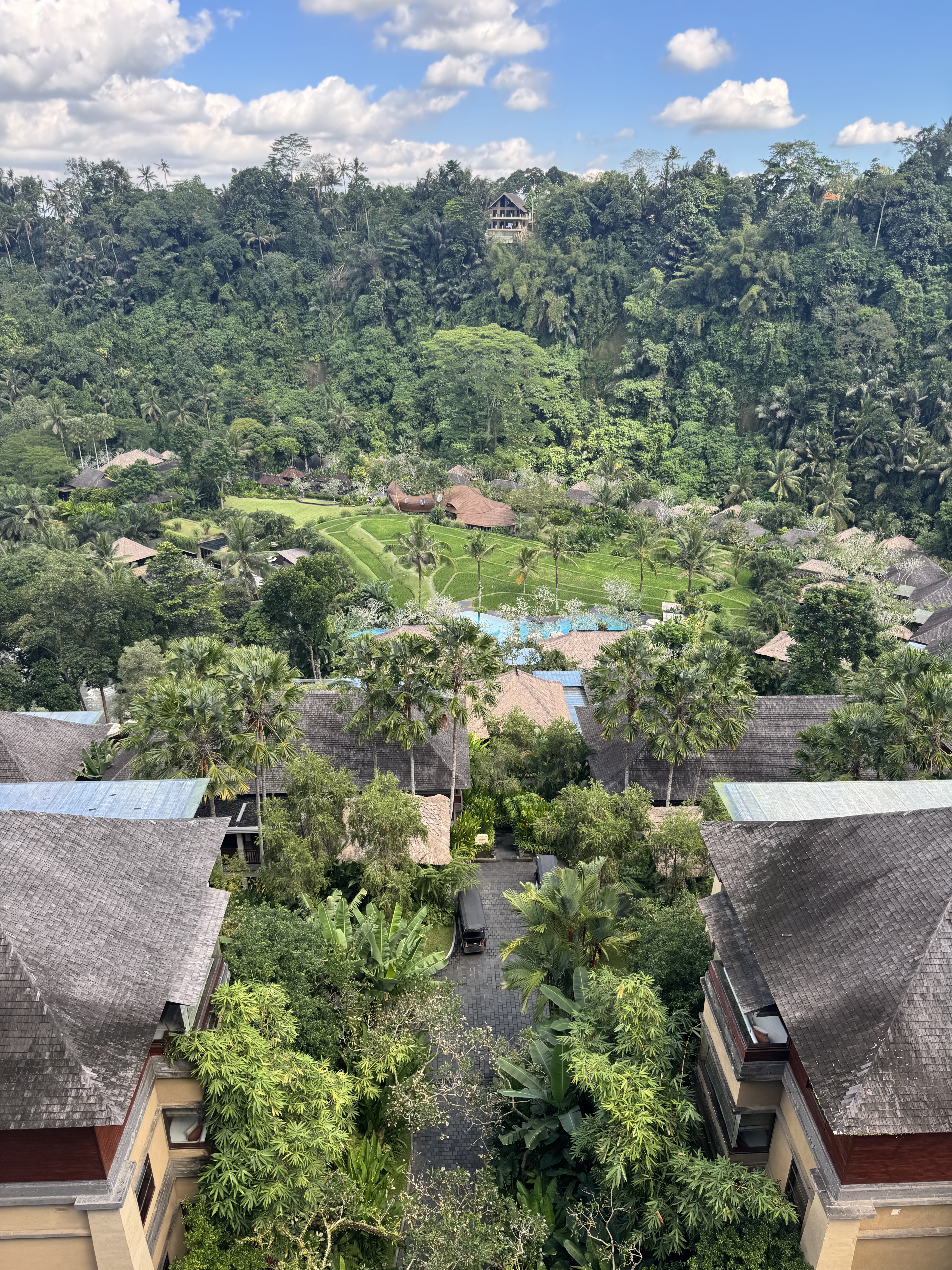 嵺mandapa˼ȼٸڲӾرȫͼ