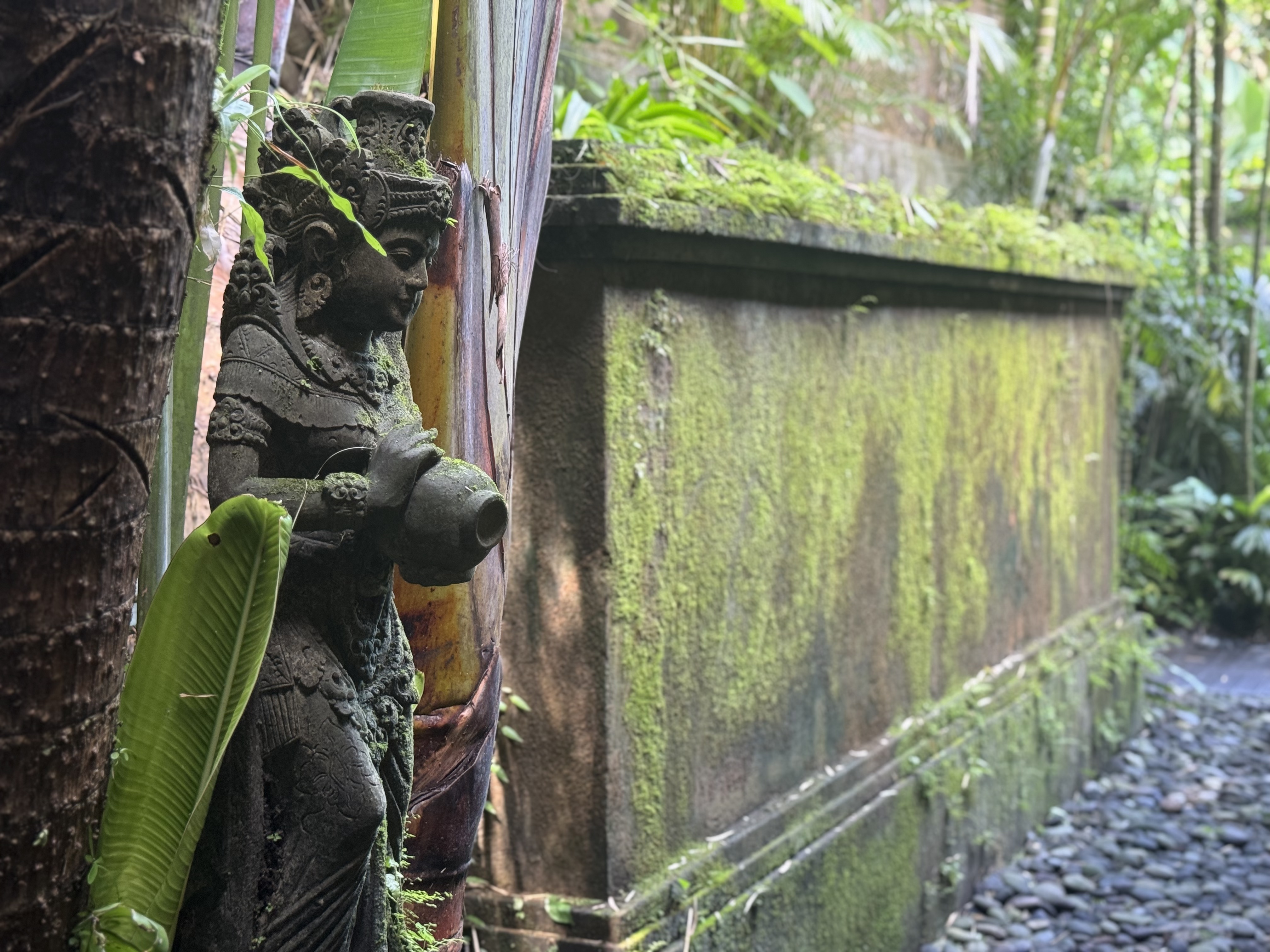 嵺mandapa˼ȼٸڲӾرȫͼ