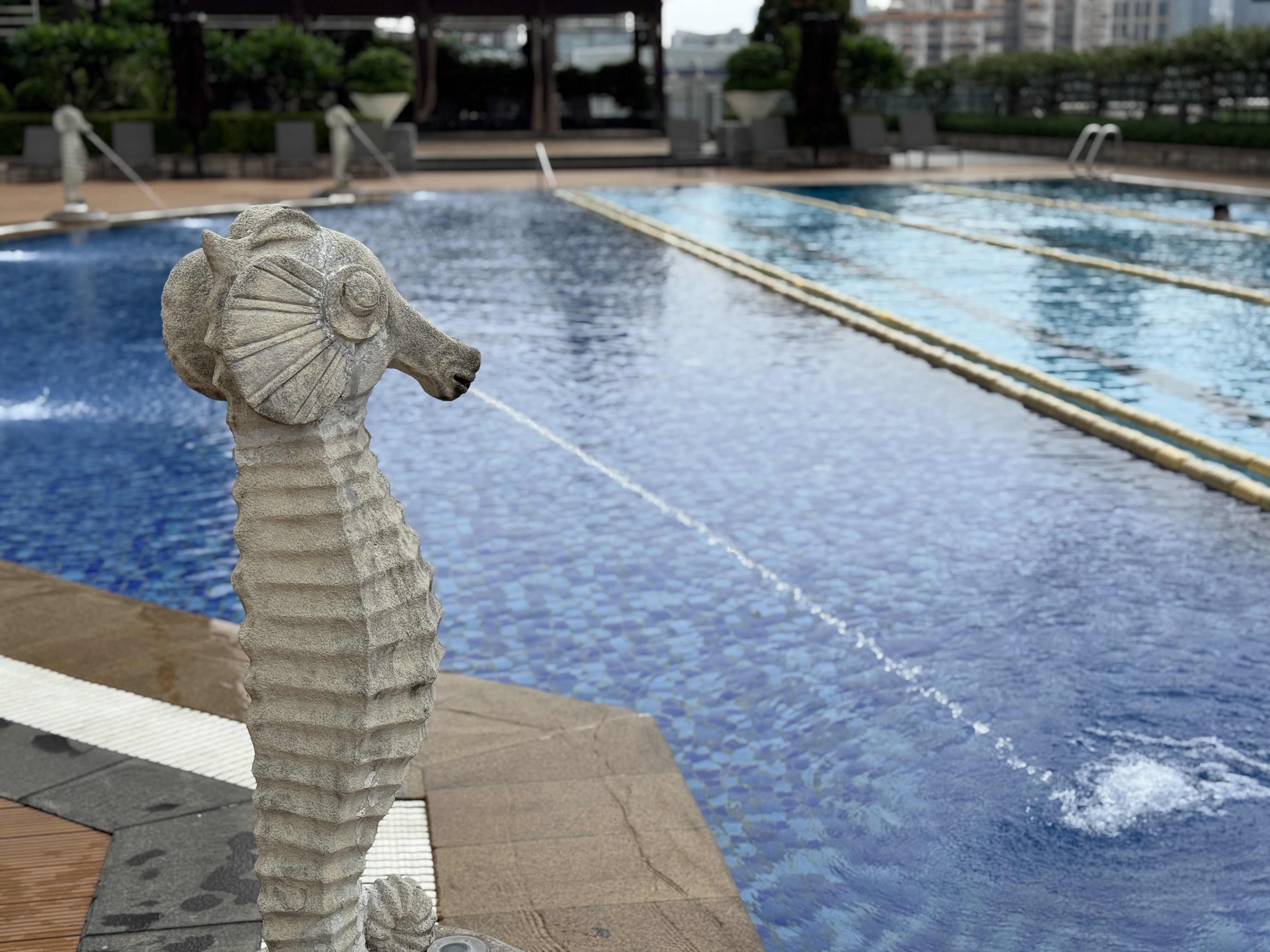 ԸΪʳ ֮ ϲǾƵ / SHERATON GUANGZHOU HOTEL