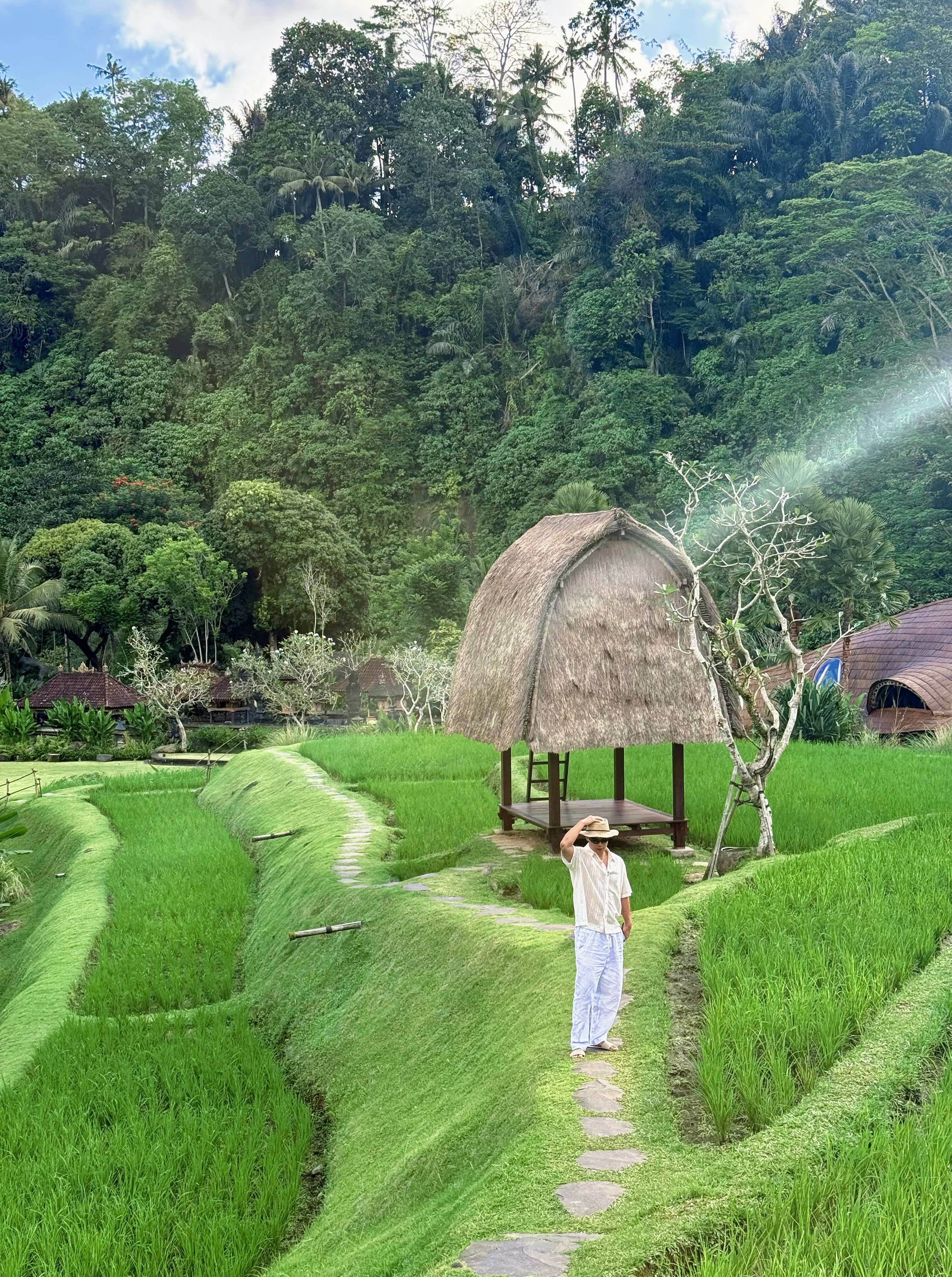 嵺mandapa˼ȼٸڲӾرȫͼ