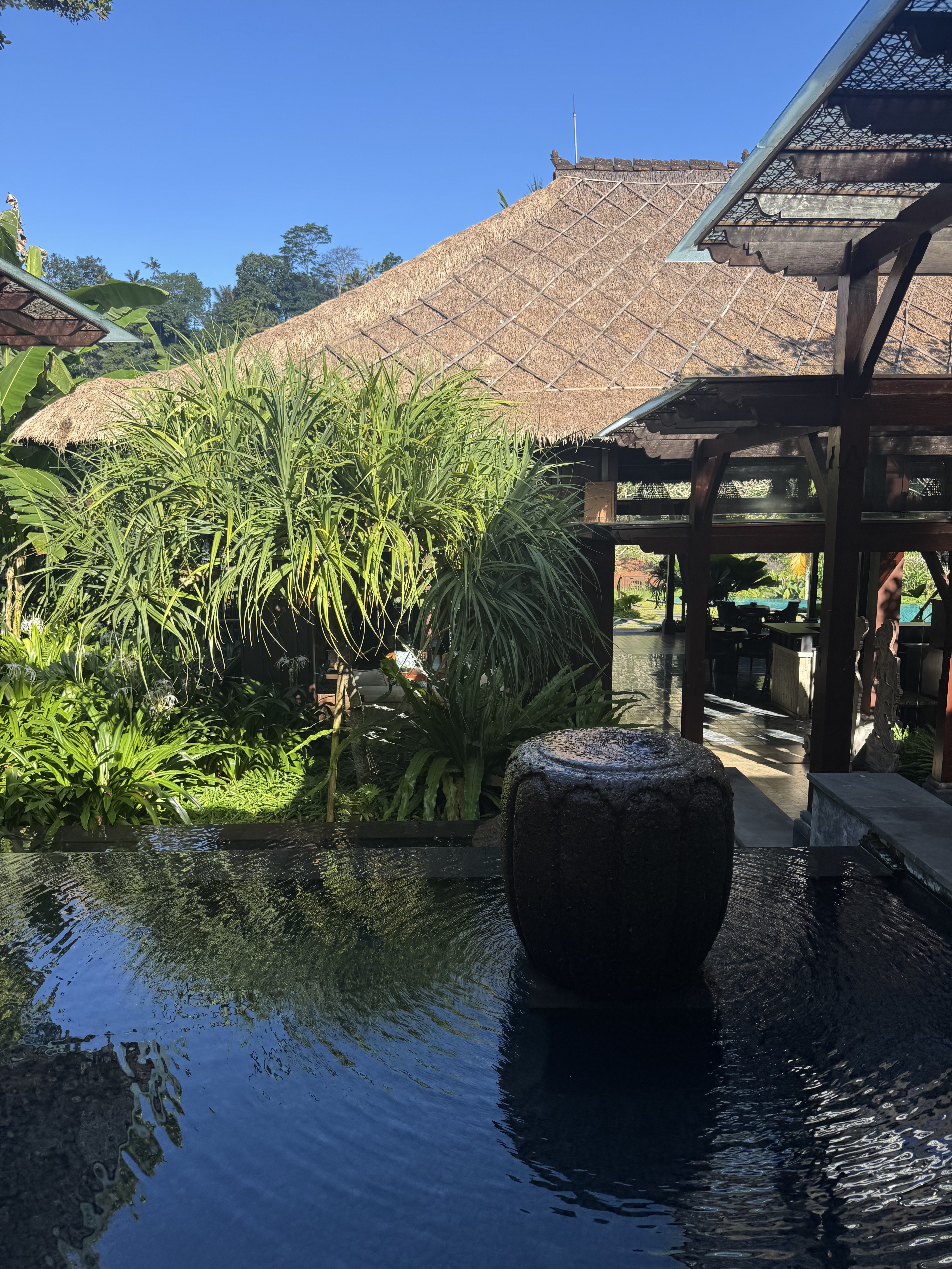 嵺mandapa˼ȼٸڲӾرȫͼ