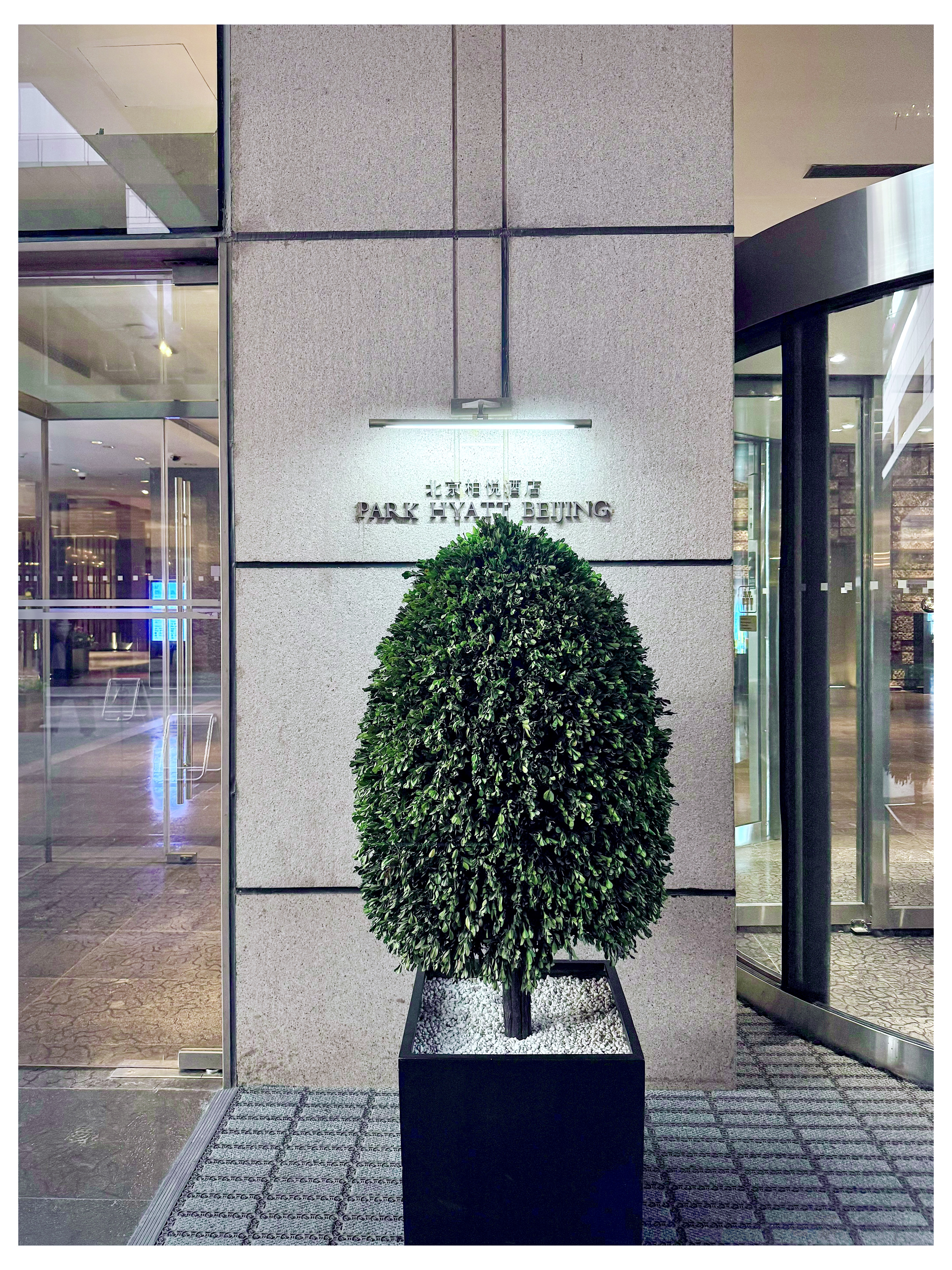 PARK HYATTþƵӵ 🏙️