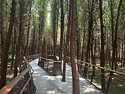 <em>PP</em>ʹʱ