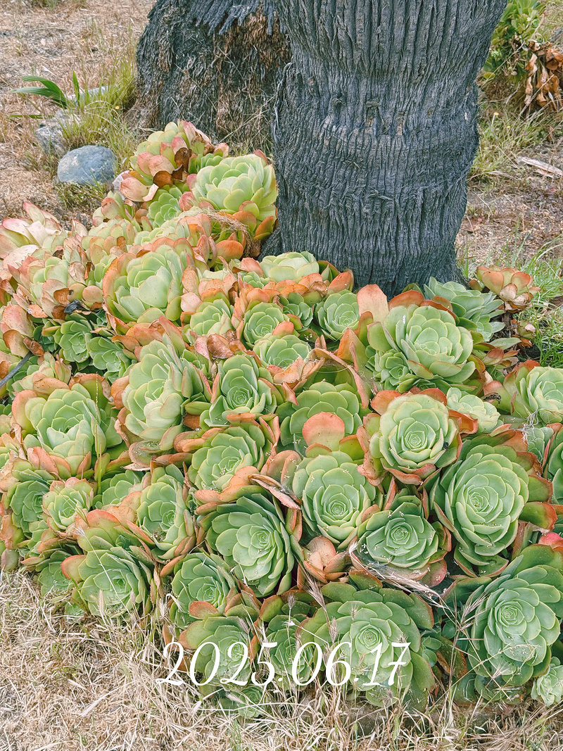 164052UFVUZJJHILAPNWPI.png 164052UFVUZJJHILAPNWPI.png