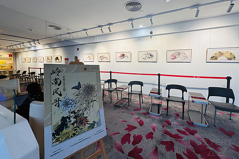 白云飘•红棉染|广州白云国际机场T2航站楼南航明珠金银卡精英会员休息室体验