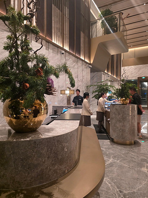 灿耀青浦，加码虹桥｜新店上海大虹桥希尔顿酒店双床房分享