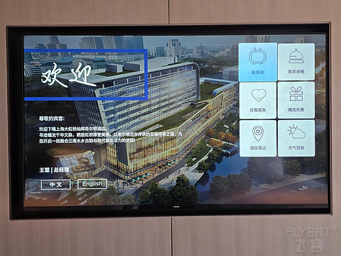 灿耀青浦，加码虹桥｜新店上海大虹桥希尔顿酒店双床房分享