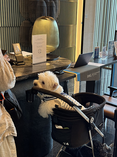 城中园林｜苏州金普顿竹辉酒店：曾经的辉煌还在吗？