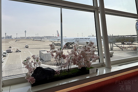 「短线从简，全凭运气」—— 日本航空 B789 首尔金浦—东京羽田 公务舱体验