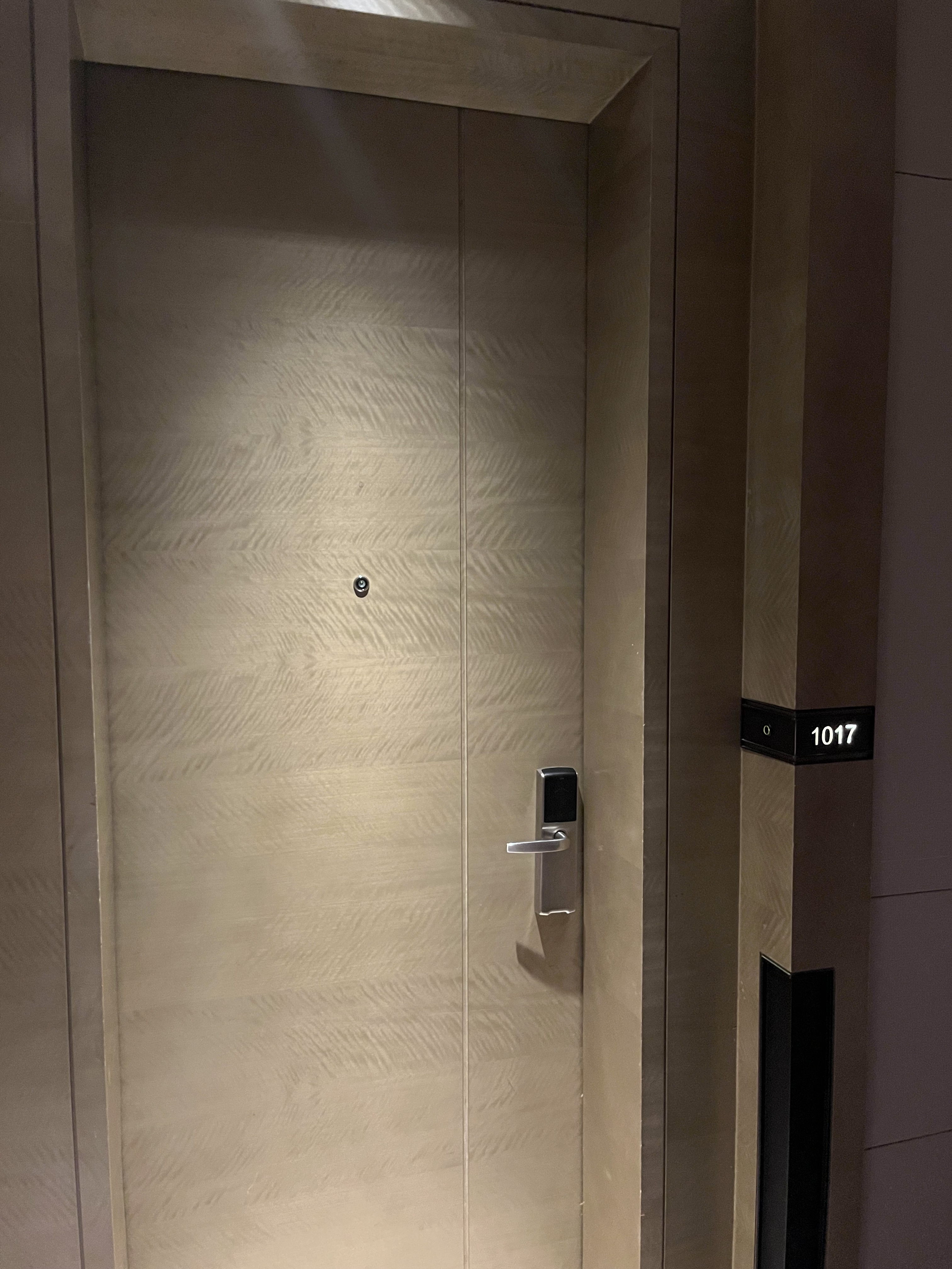 ϺƵ-׷鱨-׼