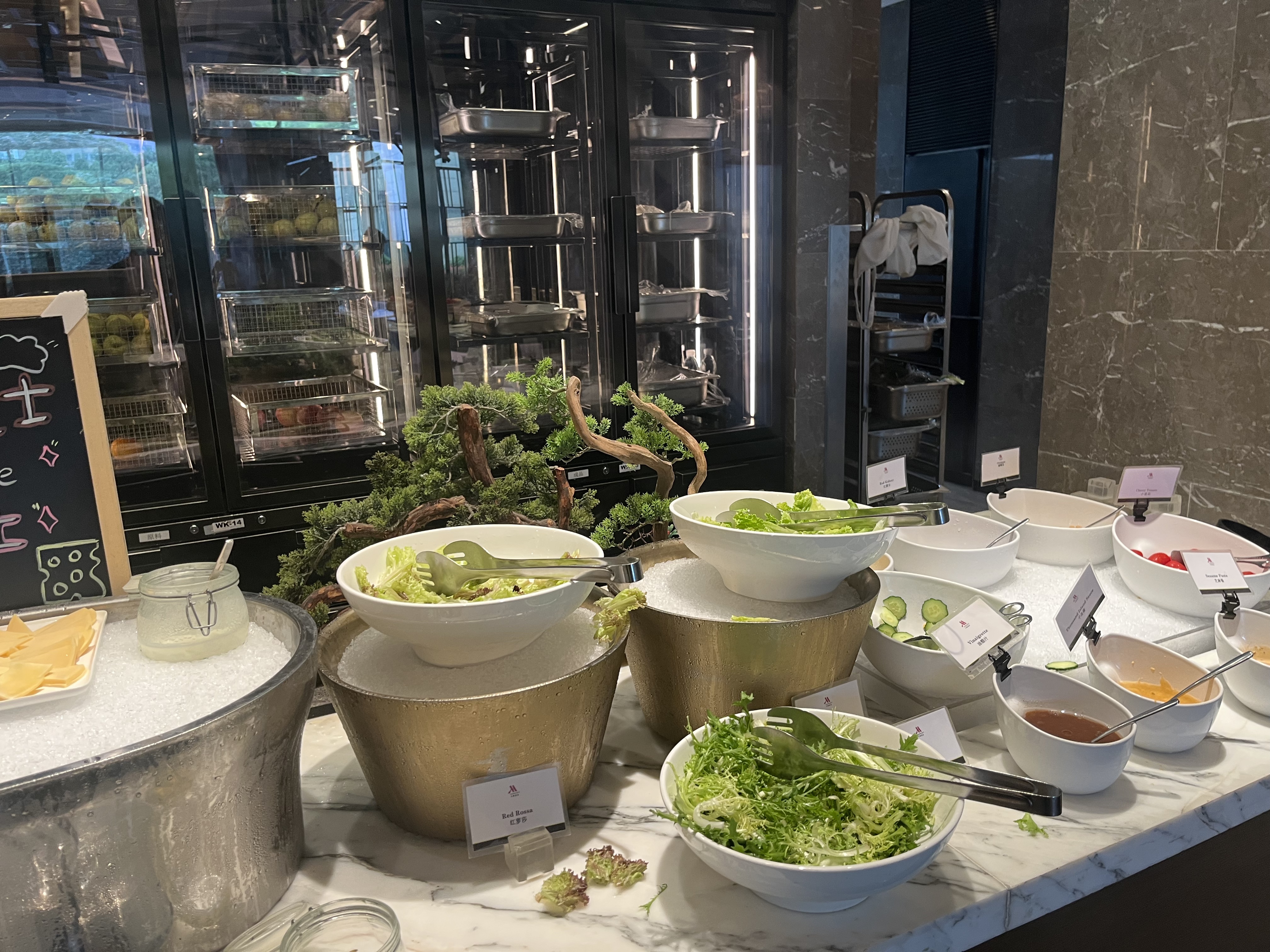 ϺƵ-׷鱨-׼
