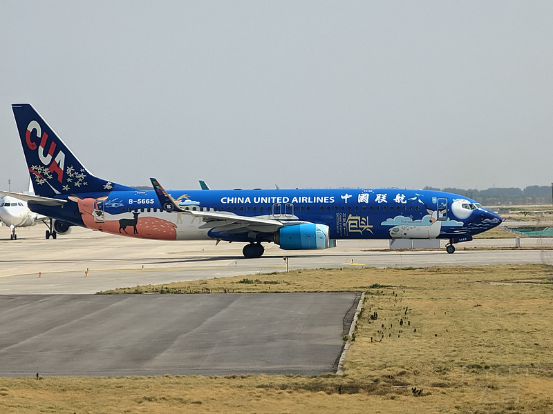 090306otbbL04RAIQZmkPo.jpg