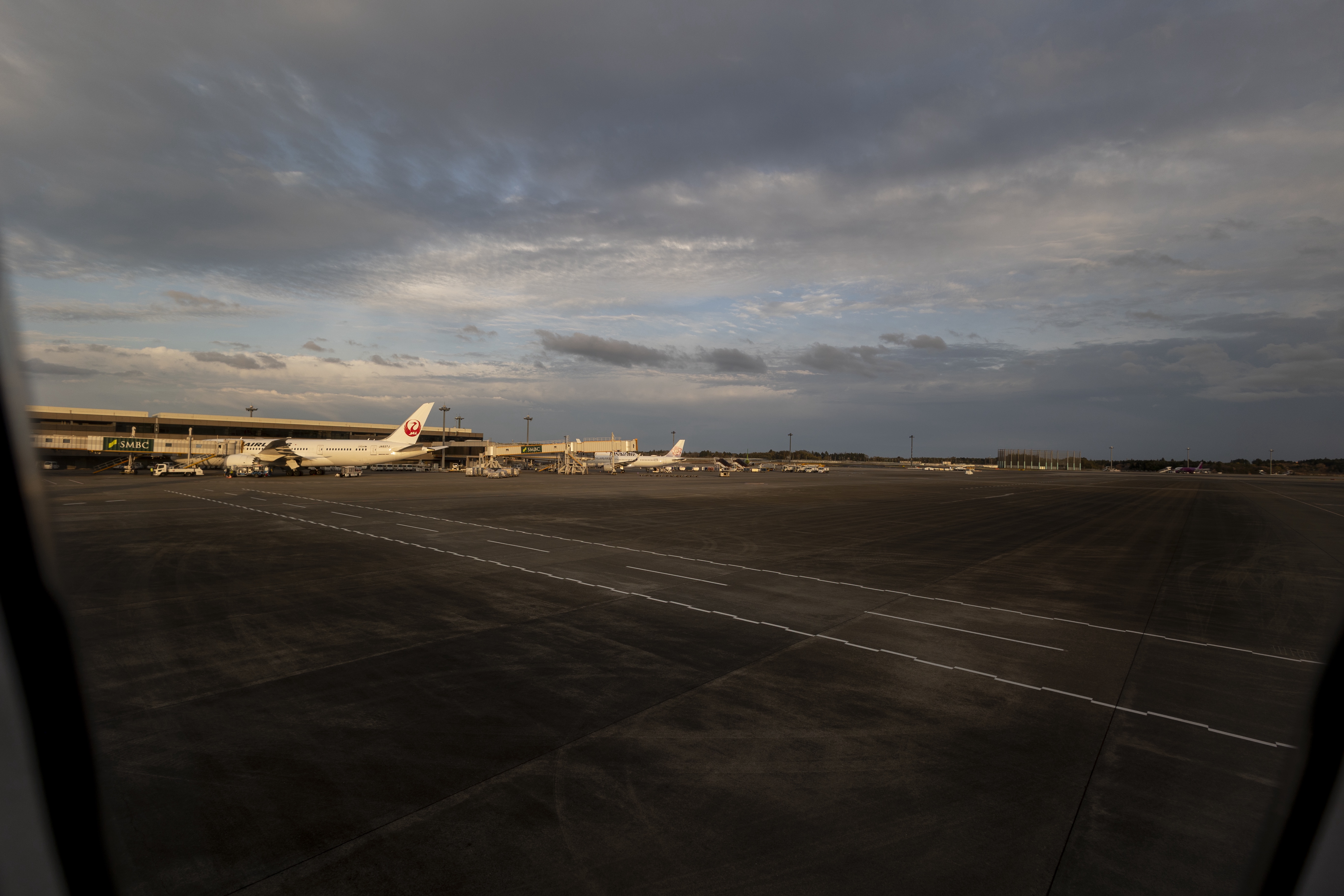 油ץ͡ ձ B789 ɼ 