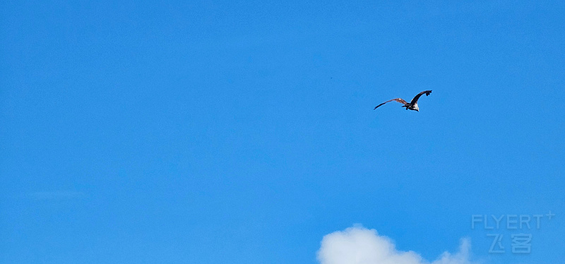 170839B7dgyTn0SCwuDVxG.jpg