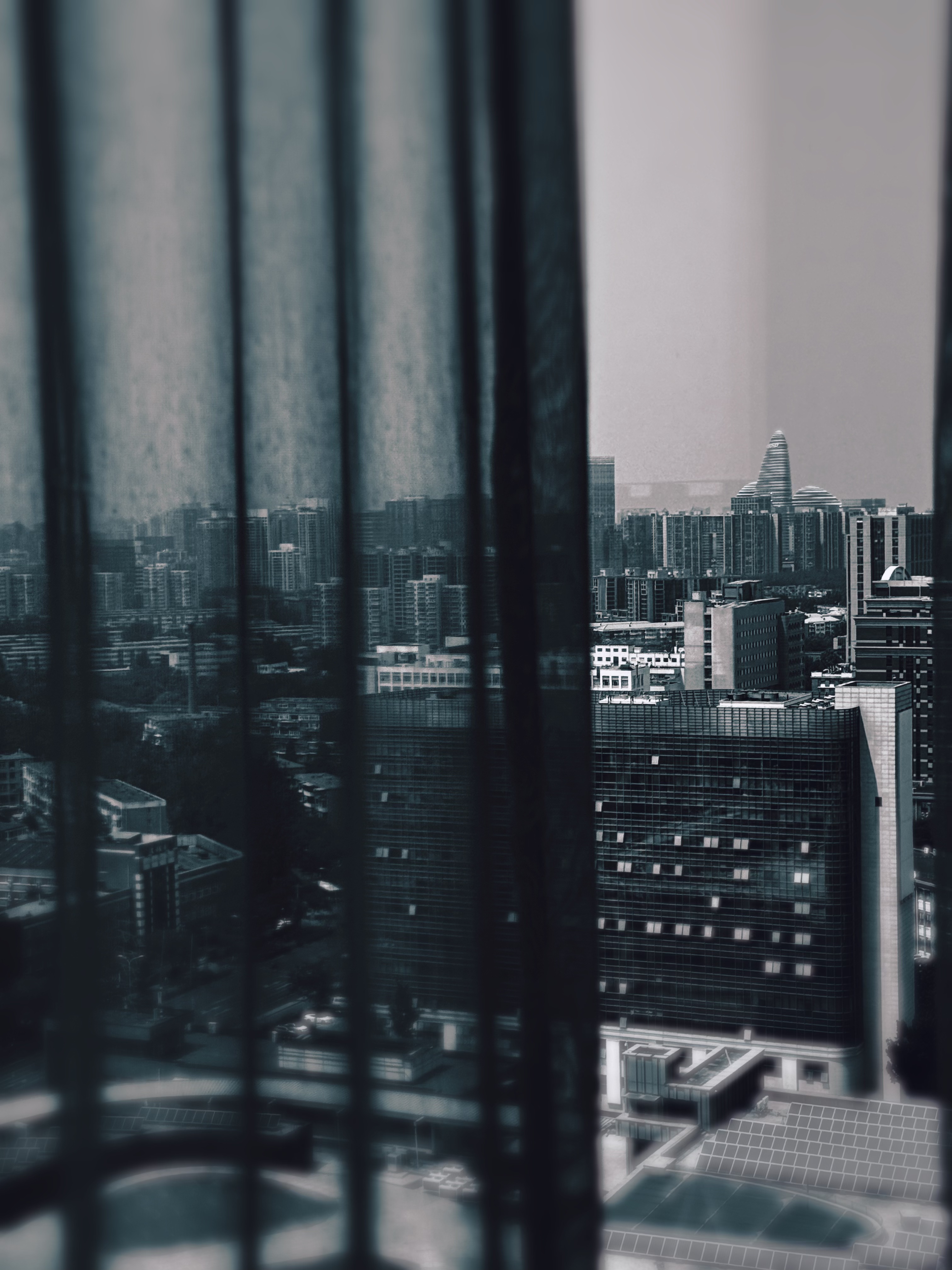 ü羰ķ
A ROOM WITH A VIEW
õ̸۶Ƶ ֮ ѿϦҵĿ