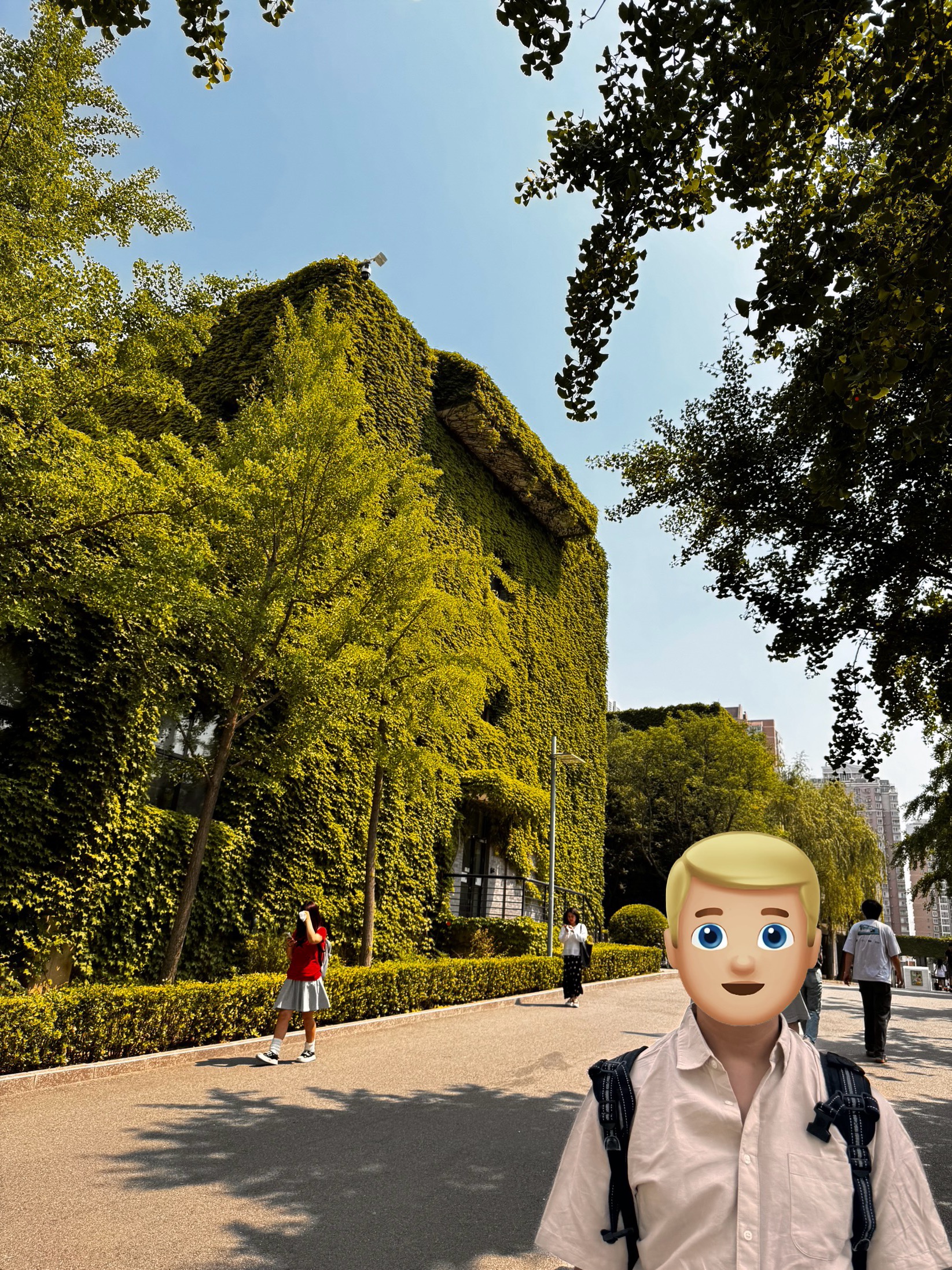 ü羰ķ
A ROOM WITH A VIEW
õ̸۶Ƶ ֮ ѿϦҵĿ