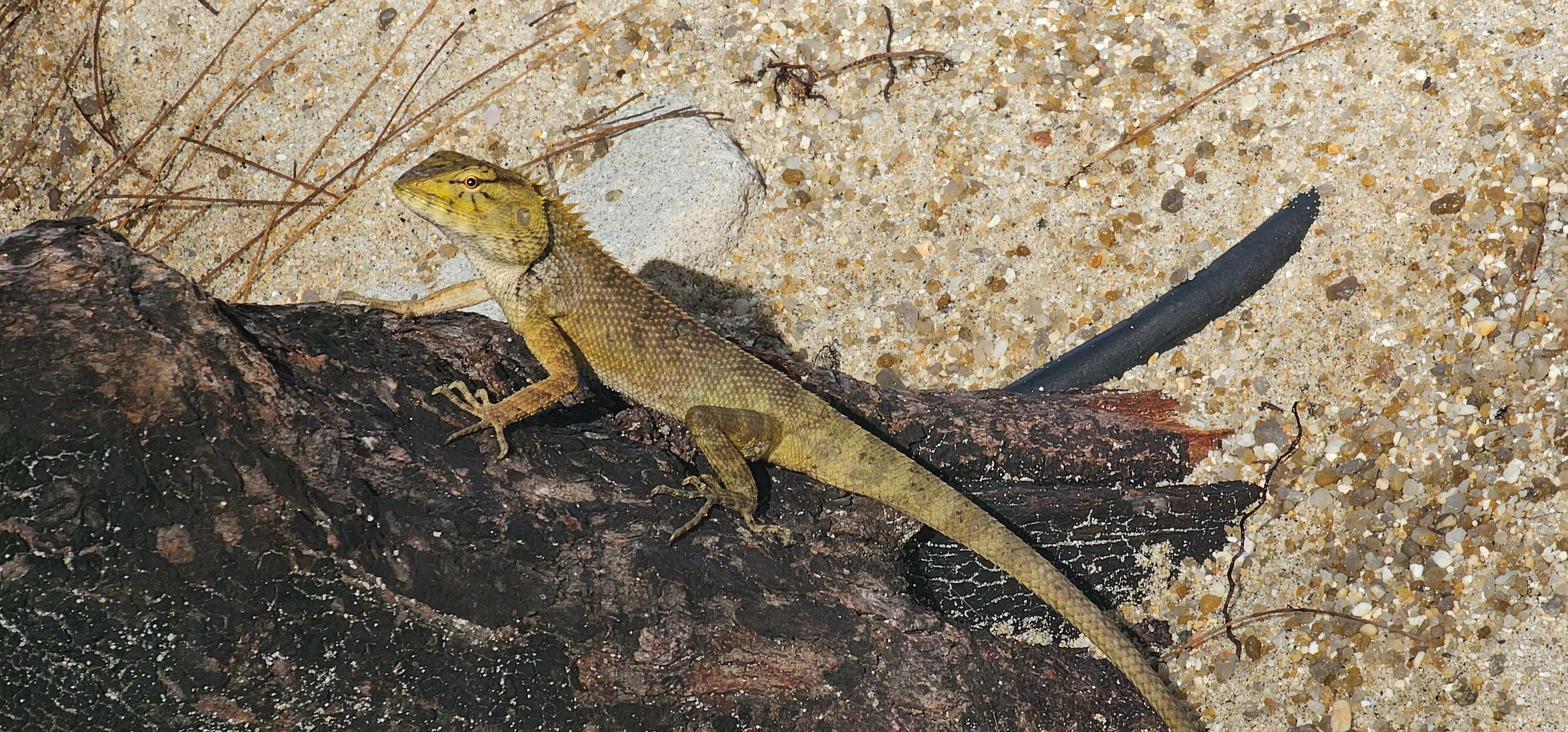 -ռ޼ʶȼپƵ