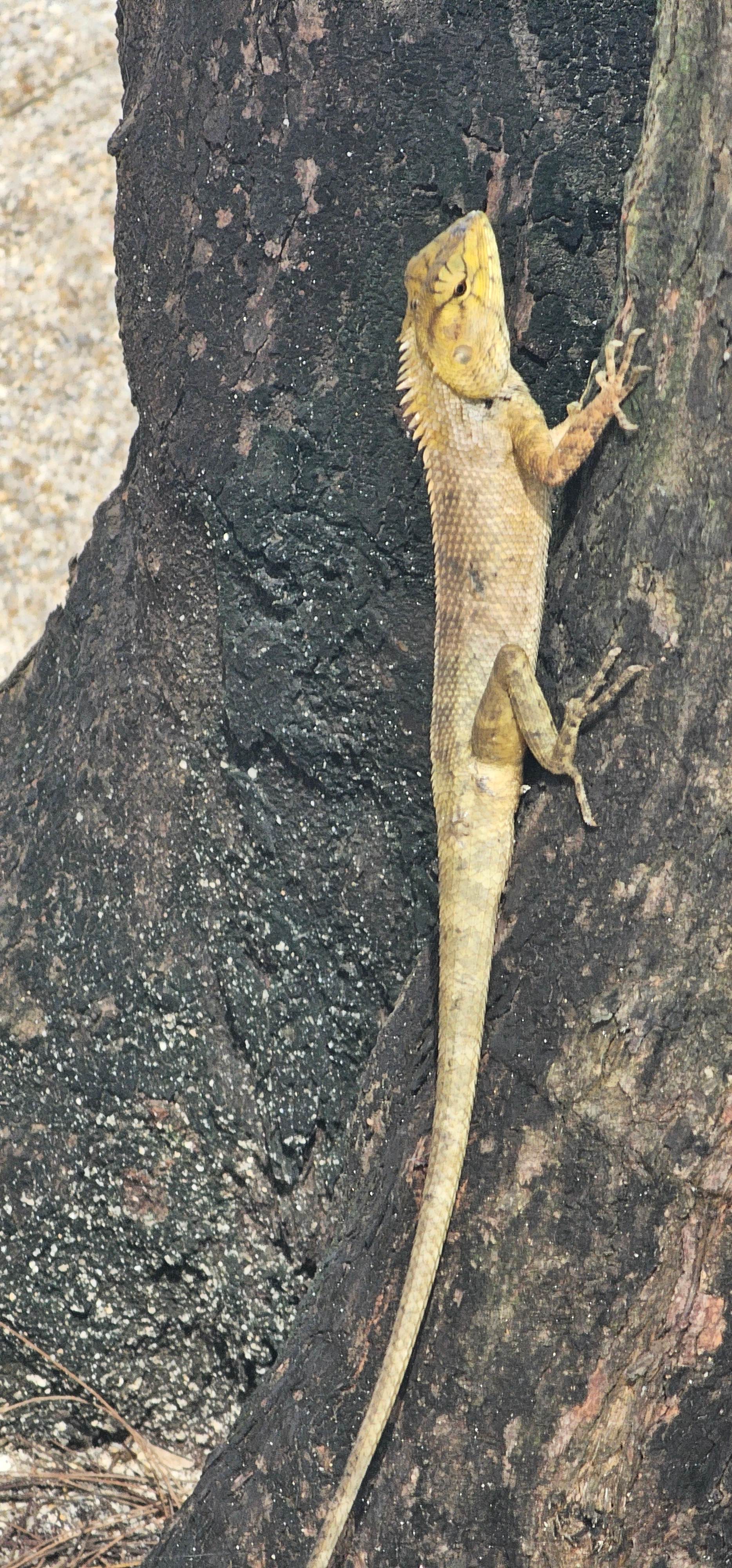 -ռ޼ʶȼپƵ