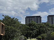 <em></em>Ƶ-жȼžͣ