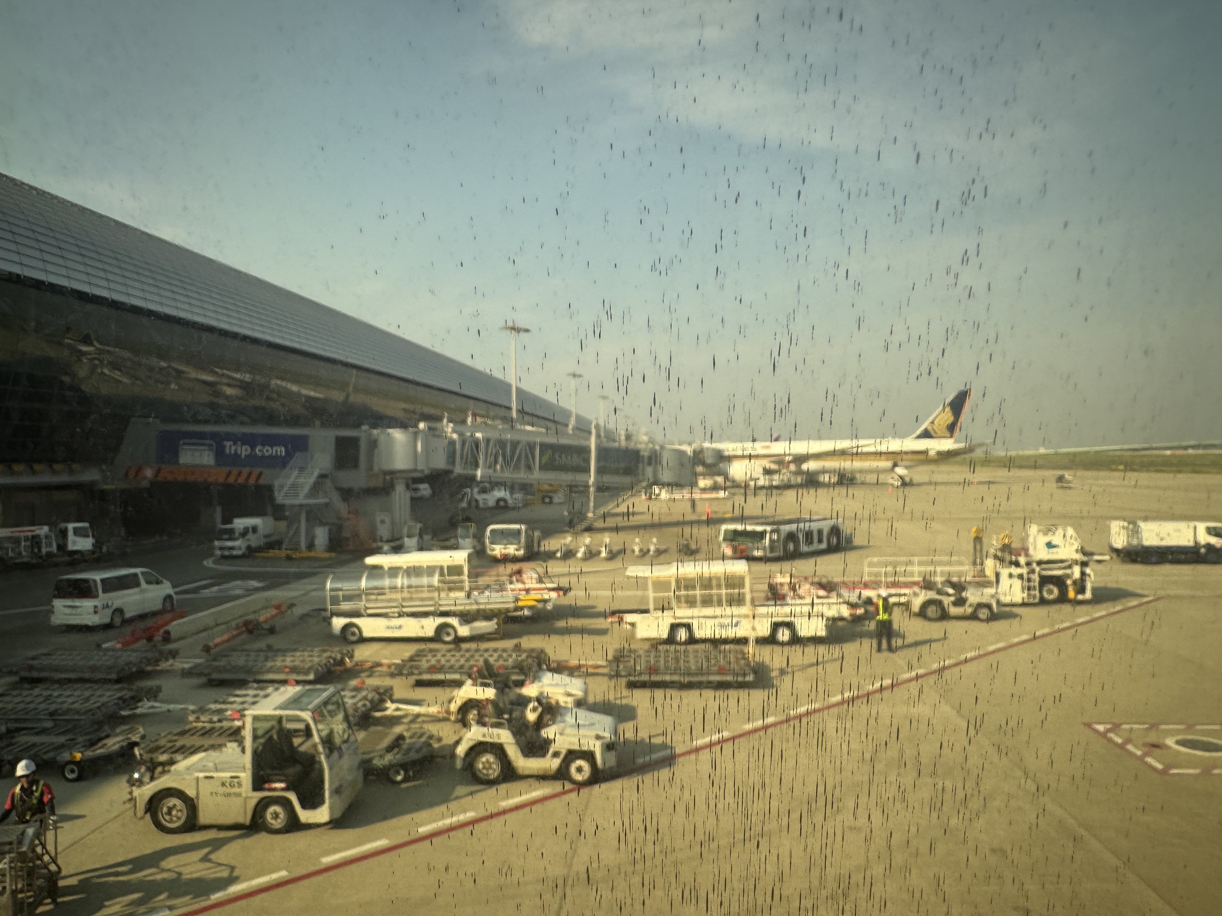 պB787-8 - Ϻֱɴ