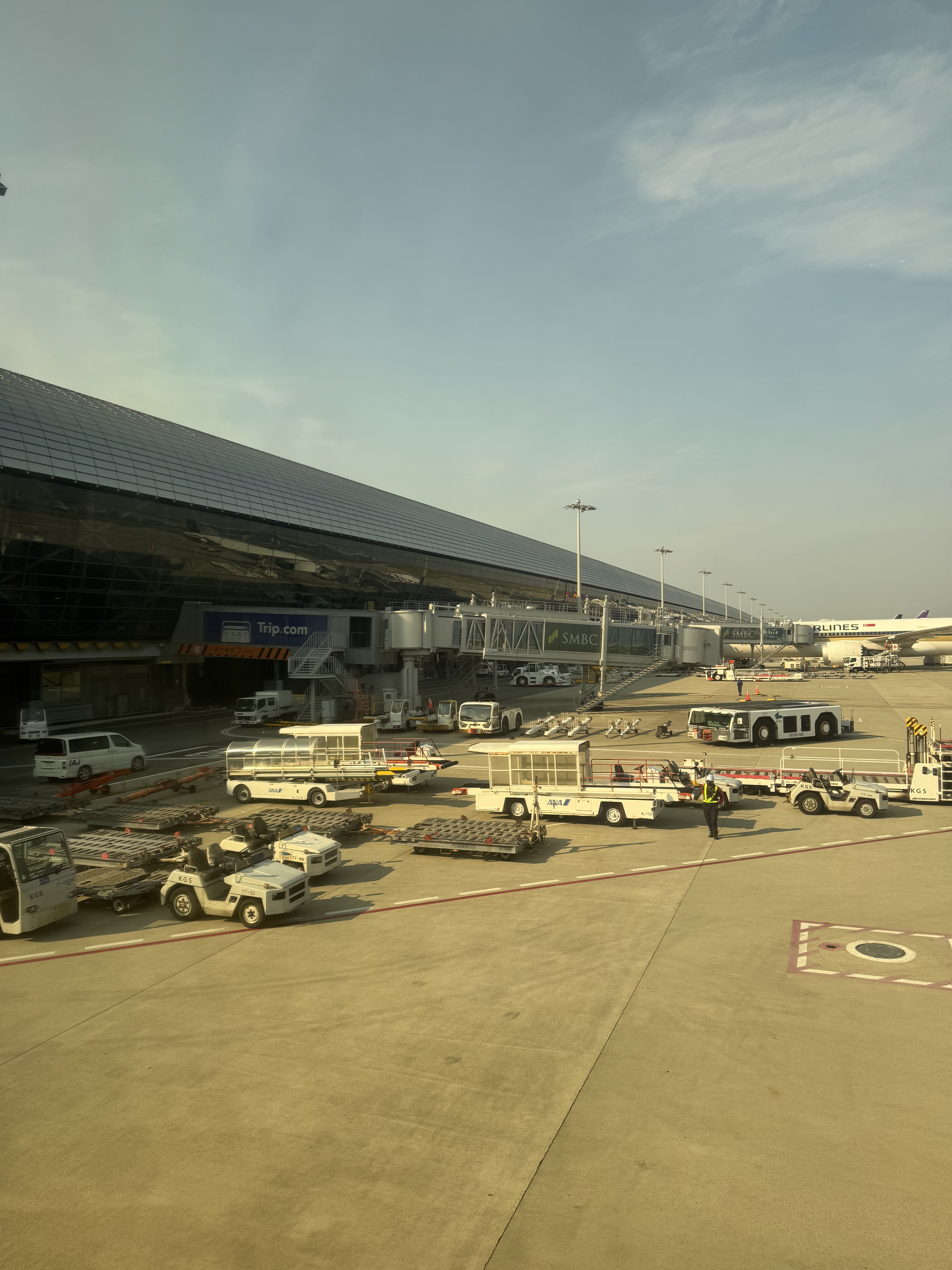 պB787-8 - Ϻֱɴ