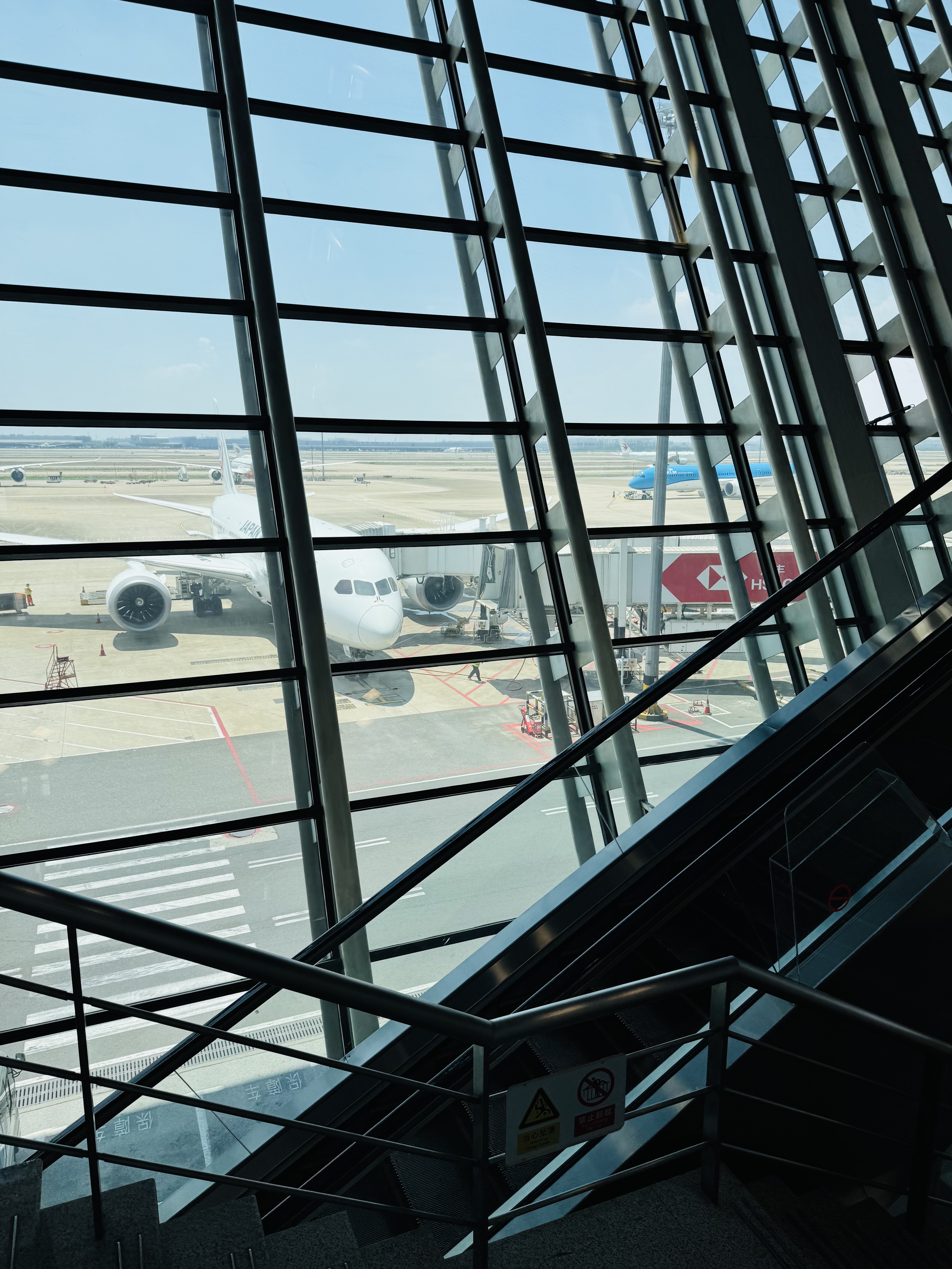 պB787-8 - Ϻֱɴ