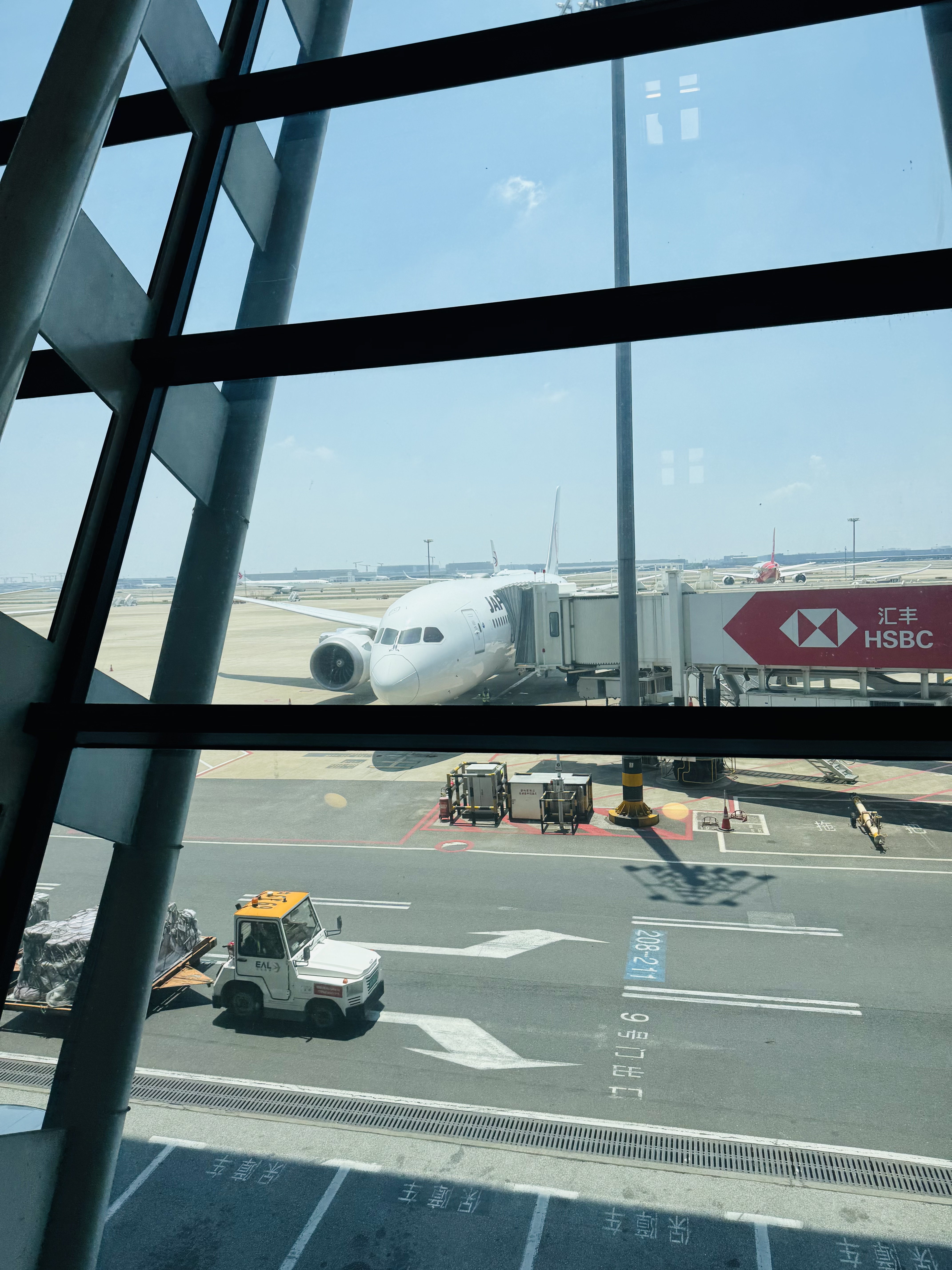 պB787-8 - Ϻֱɴ