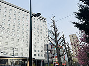 <em></em> ¼