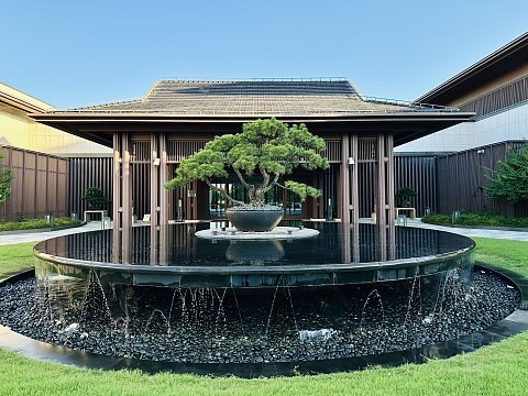 故迹青灯伴我行｜上海松江广富林希尔顿酒店｜豪华湖景庭院套房