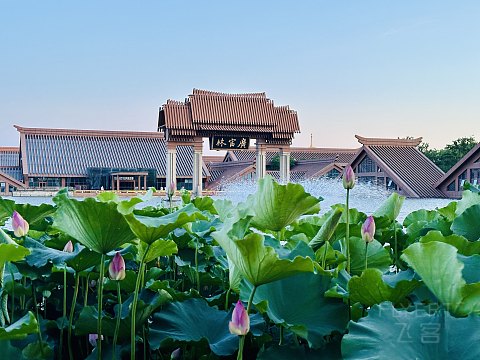 故迹青灯伴我行｜上海松江广富林希尔顿酒店｜豪华湖景庭院套房