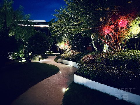 故迹青灯伴我行｜上海松江广富林希尔顿酒店｜豪华湖景庭院套房