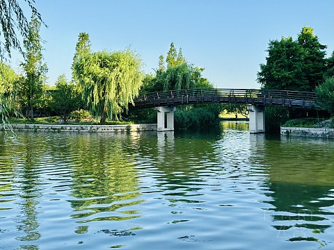 故迹青灯伴我行｜上海松江广富林希尔顿酒店｜豪华湖景庭院套房