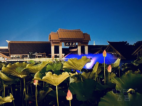 故迹青灯伴我行｜上海松江广富林希尔顿酒店｜豪华湖景庭院套房