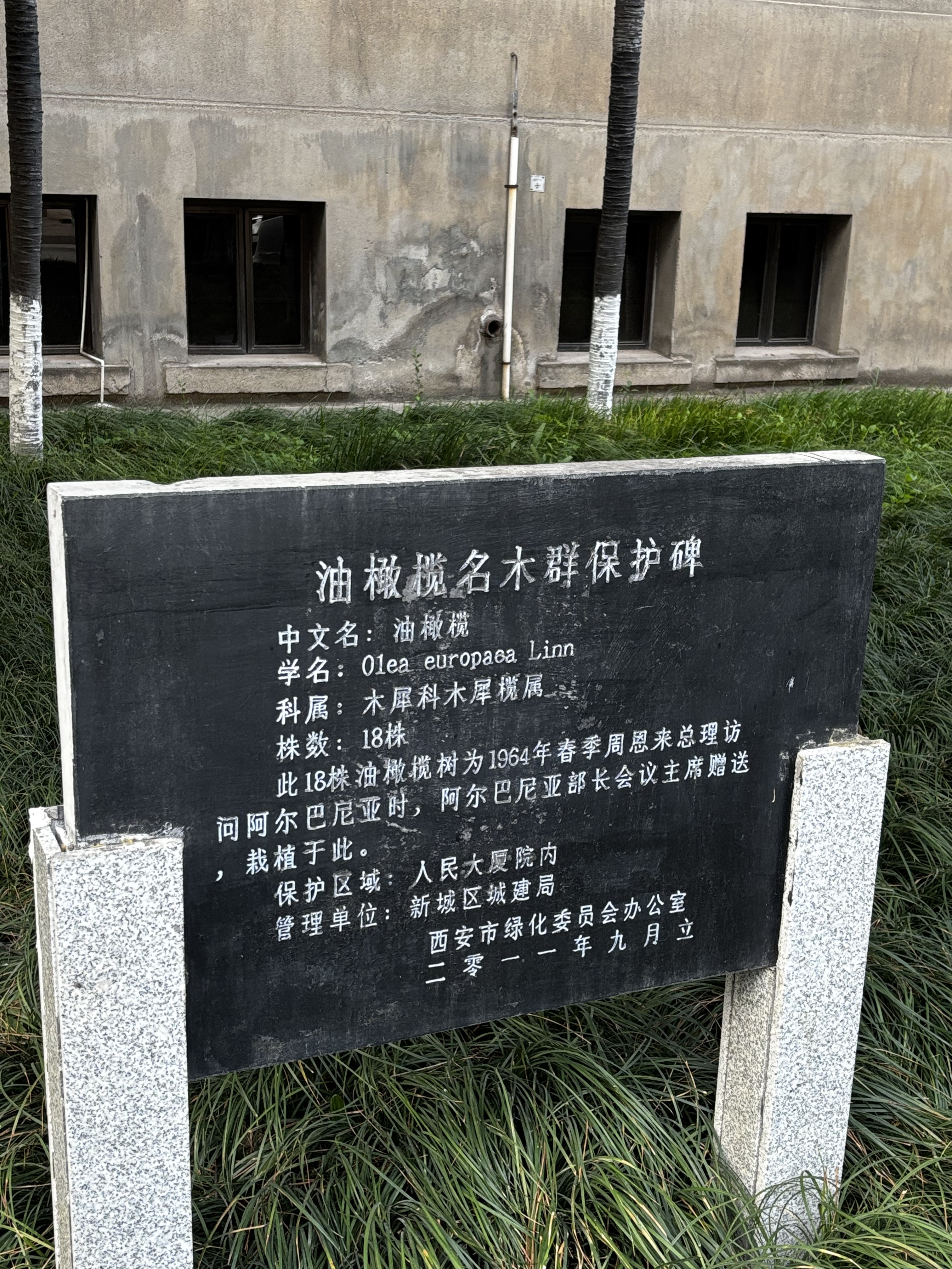 🏛️ شƵס棺Խʮصķʽʷ