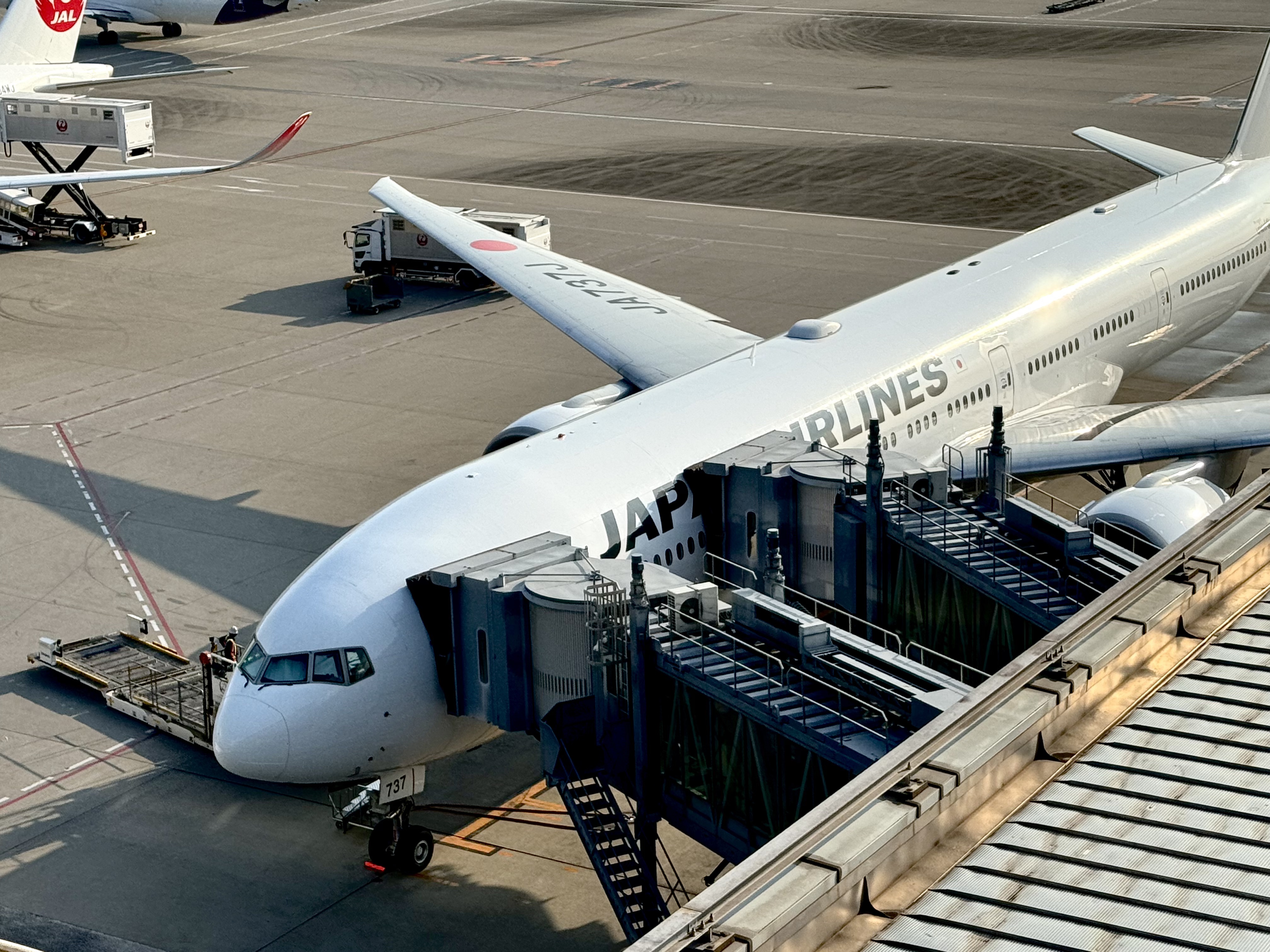ձJAL JL87/88 CAN=HND