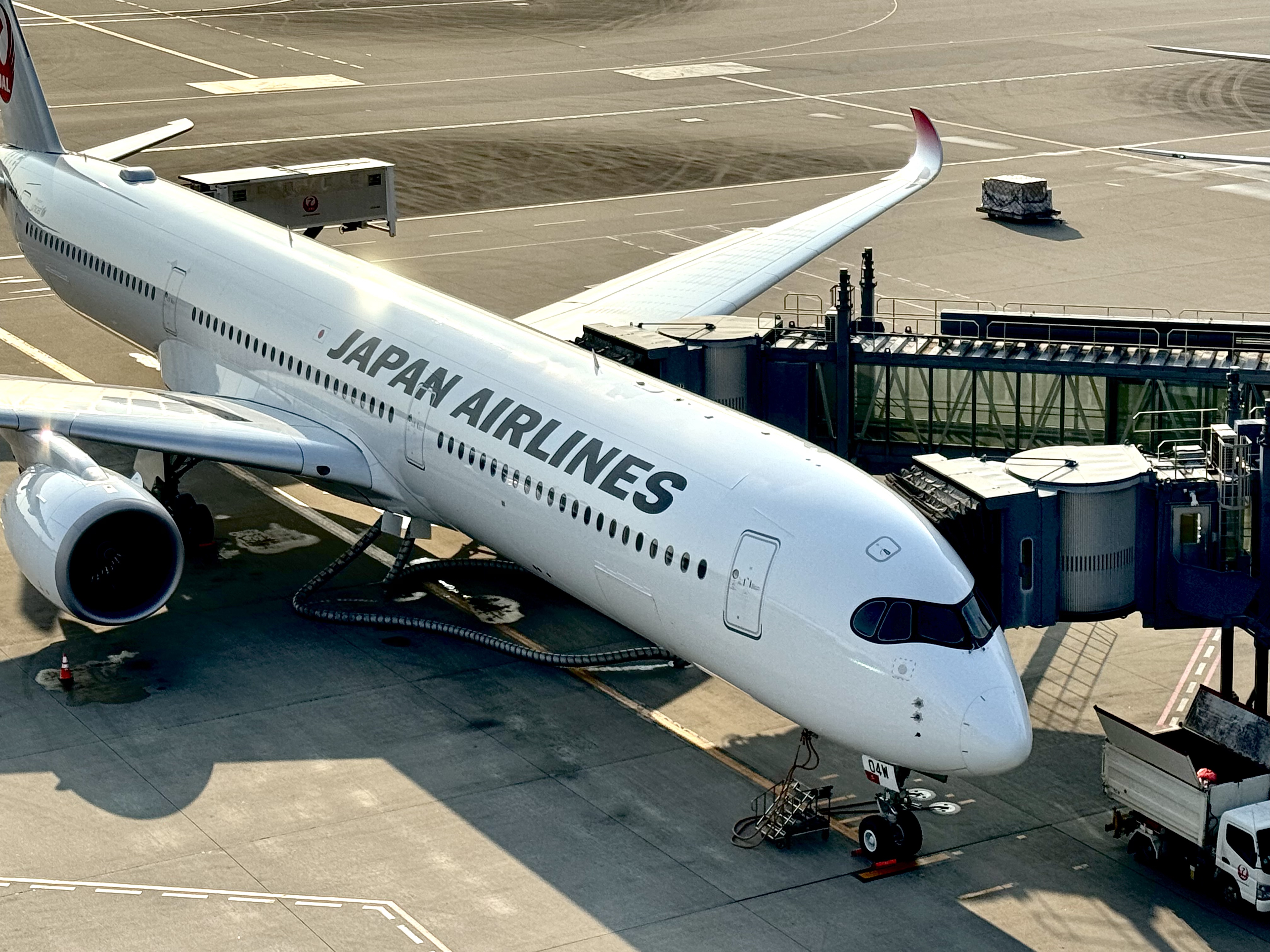 ձJAL JL87/88 CAN=HND