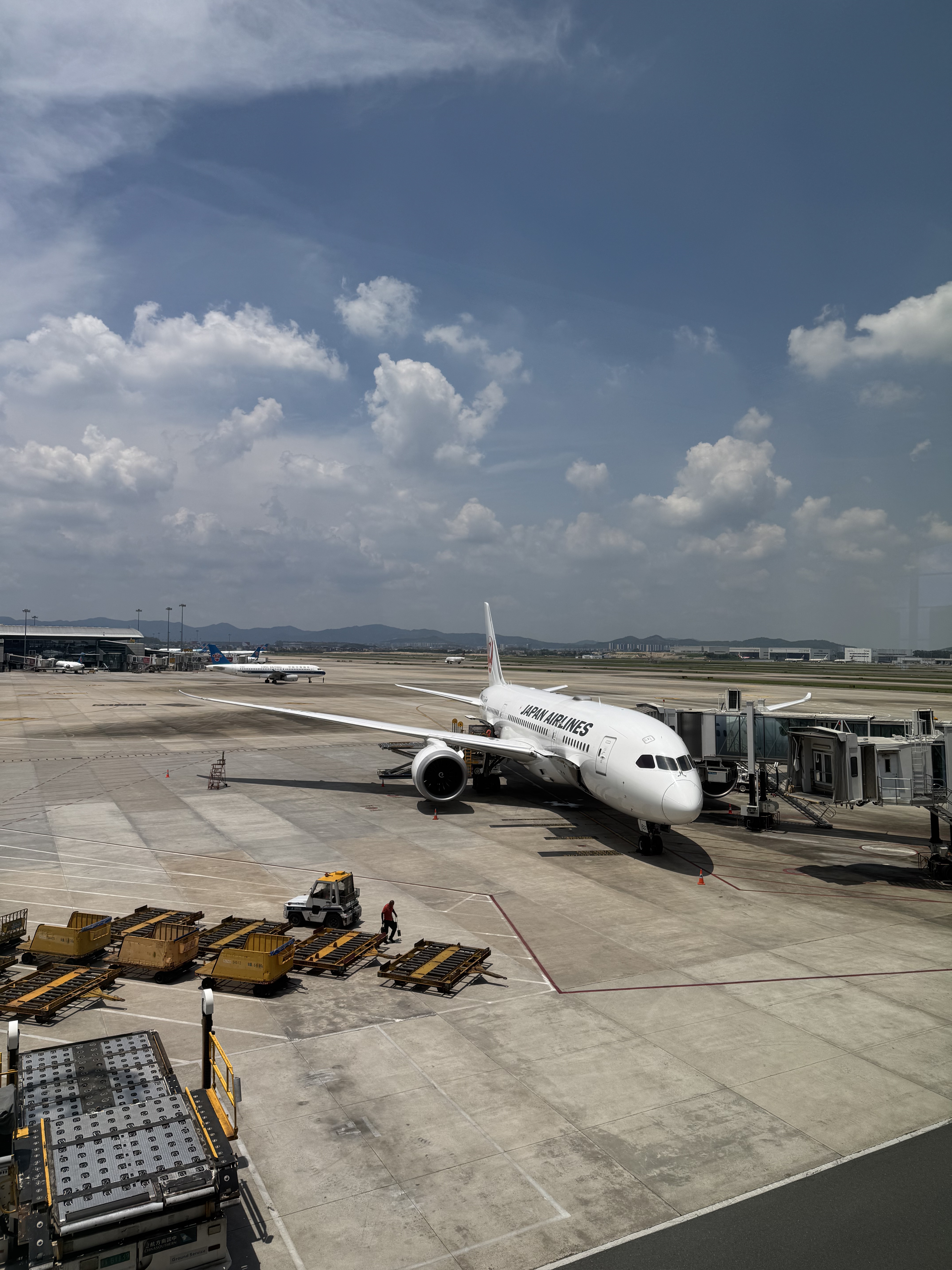 ձJAL JL87/88 CAN=HND