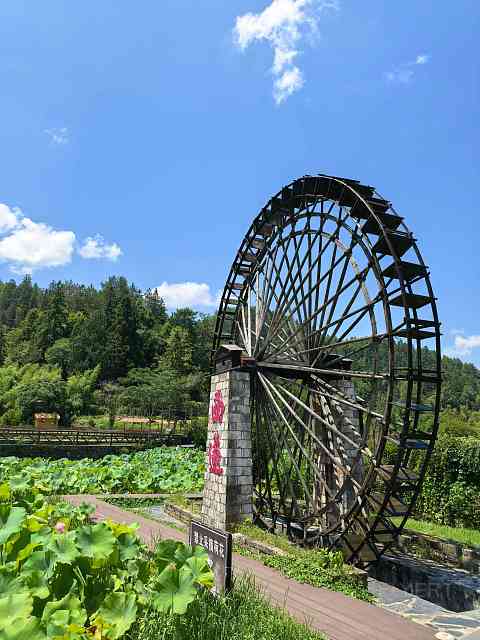 次暑黄山行：遍游西塔宏唯独不上山—— 黄山悦榕庄