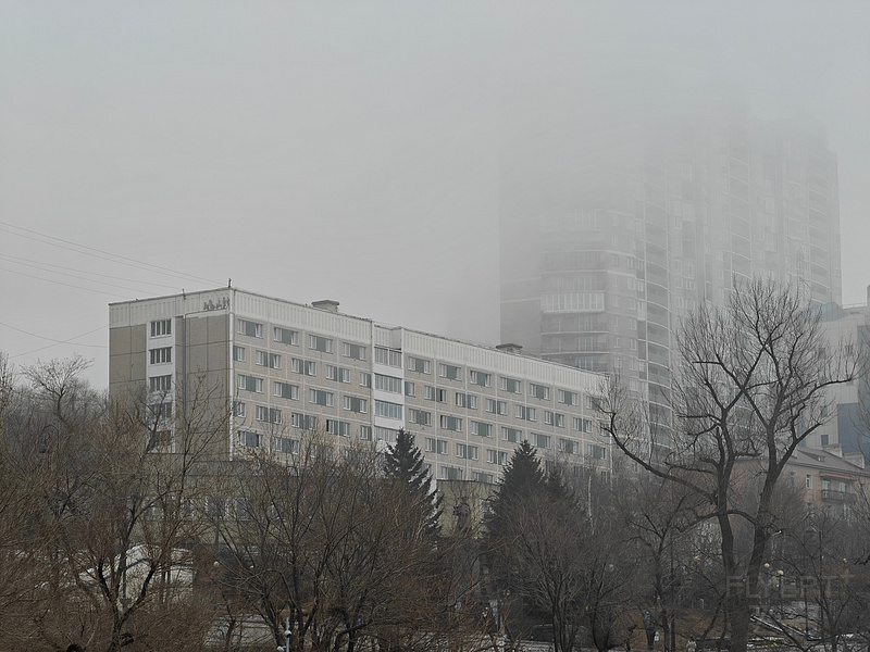 122041XiO1KyDnMpEn8wSJ.jpg