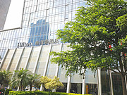 <em></em>ߵ<em>лHilton</em>-ʺ