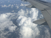 <em></em>ս
