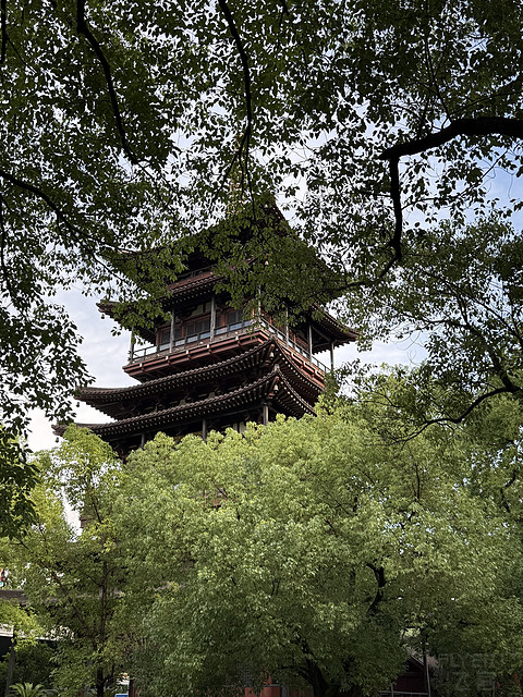西湖索菲特酒店：枕西湖诗意，享奢雅旅居
